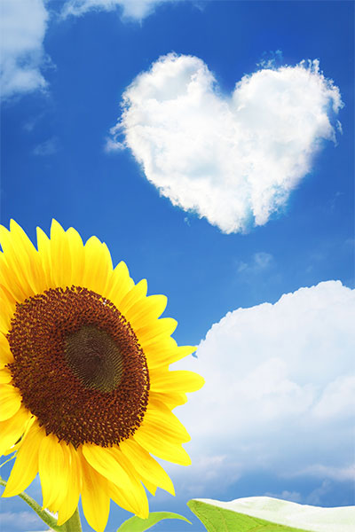 よくあるご質問